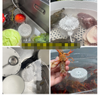 Ultrasonic Vegetable Cleaner for Home Use Gadgets and Gizmos