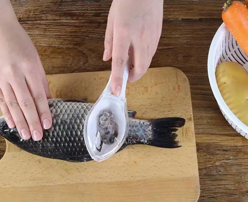 Easy-Clean Fish Scale Scraper Gadgets and Gizmos