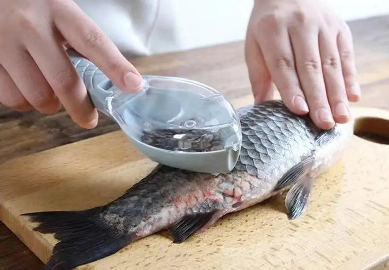 Easy-Clean Fish Scale Scraper Gadgets and Gizmos