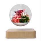 Home Desk Decoration Magnetic Levitation Perpetual Flower Ornament Gadgets and Gizmos