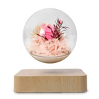 Home Desk Decoration Magnetic Levitation Perpetual Flower Ornament Gadgets and Gizmos