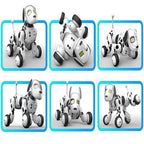 Interactive RoboDog Playmate Gadgets and Gizmos